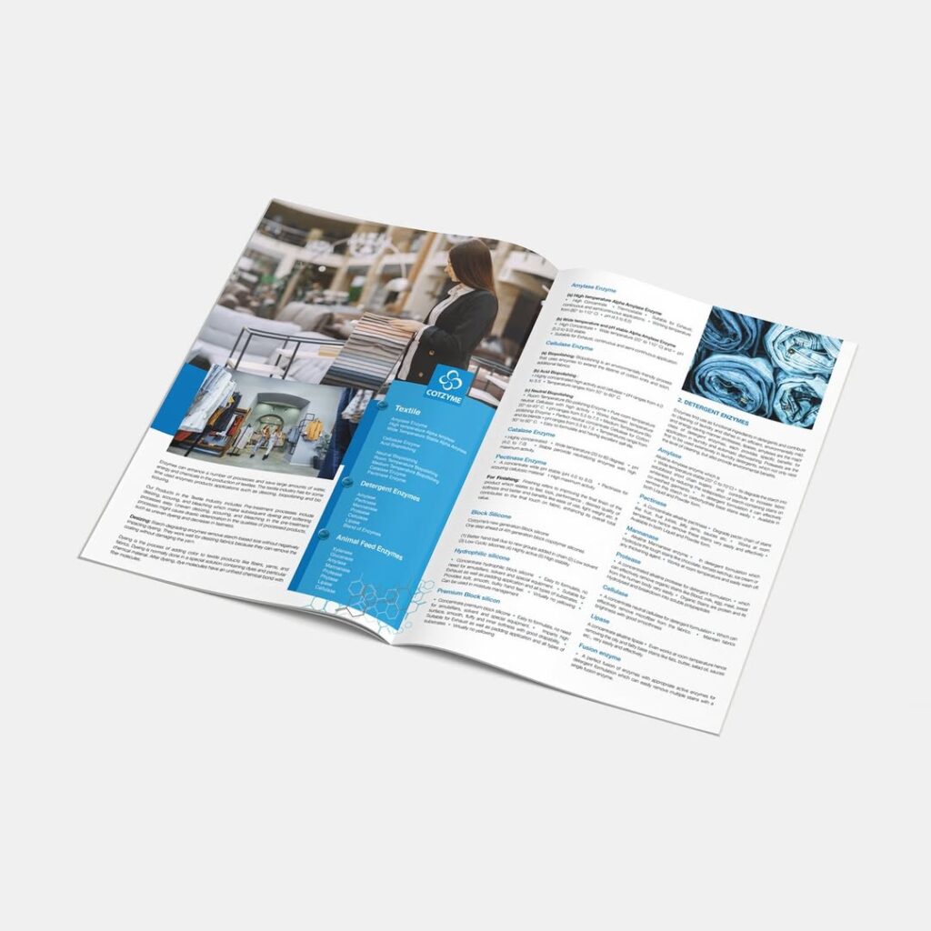 SaveClip.App_548638719_17849141745557248_3037900074330020965_n