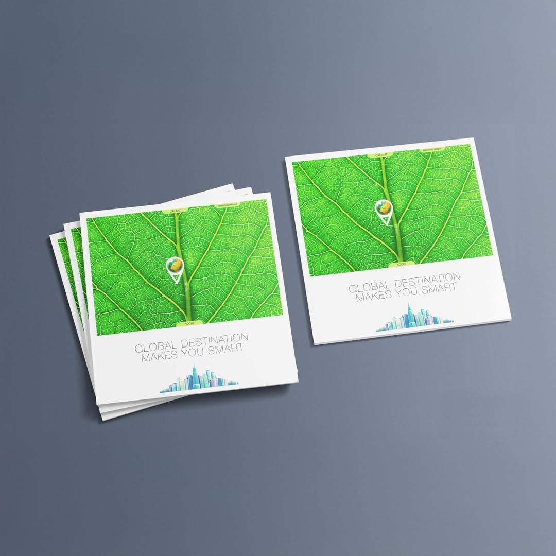 SaveClip.App_548861869_17849148501557248_497486345423736512_n